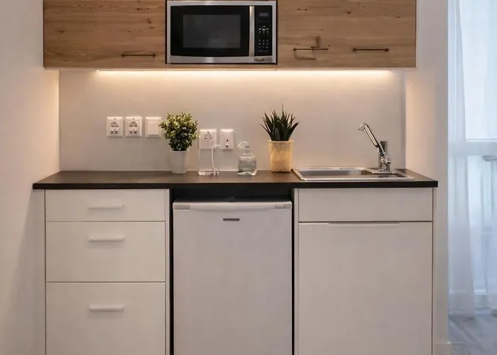 Elegant 2room In Balcony Kitchen 公寓